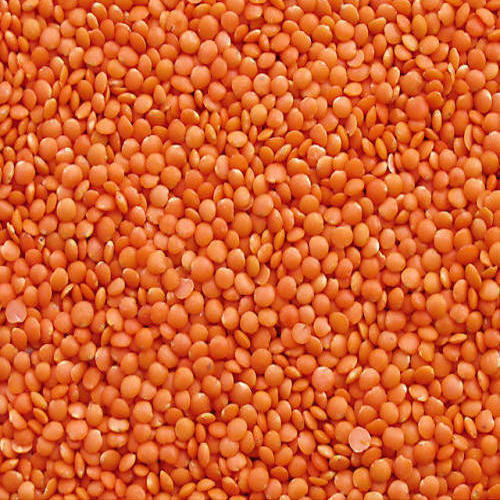 Red Lentils (Masoor Dal)